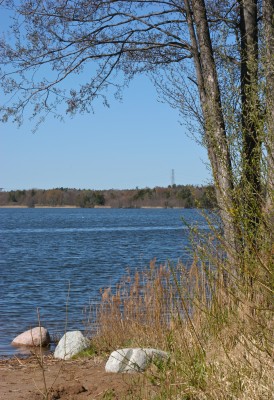 IMG_0427.jpg